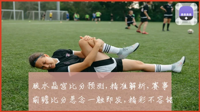 狼水晶宫比分预测,精准解析,赛事前瞻比分悬念一触即发,精彩不容错过,
